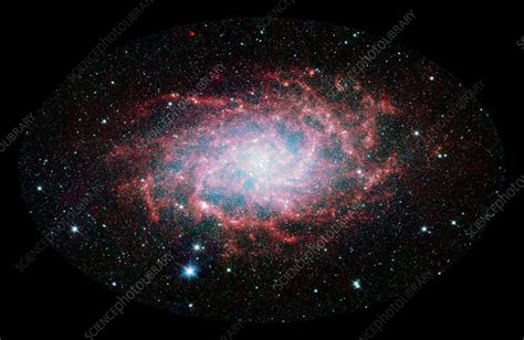 Triangulum Galaxy M33 Infrared Image Stock Image C0090016