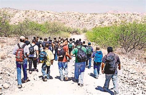 Traducir migración significado migración traducción de migración sinónimos de migración, antónimos de migración. Migración | Toustodo's Blog
