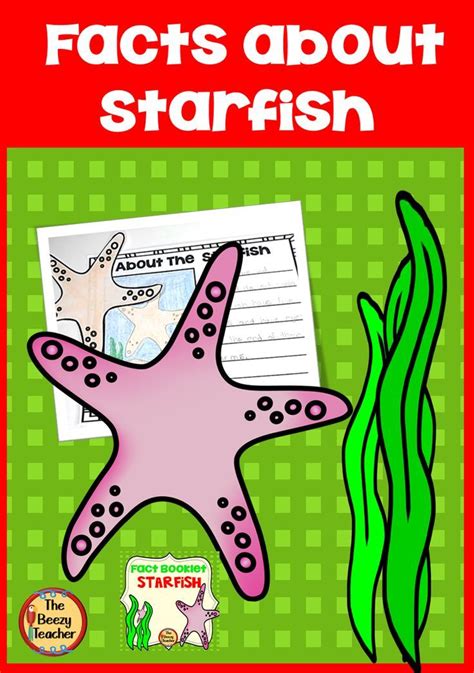 Starfish Fact Booklet With Digital Activities Digital Activities
