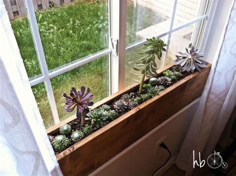 How To Make A Succulent Window Box Window Plants And Box