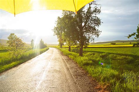 Best Sunny Rain Stock Photos Pictures And Royalty Free Images Istock
