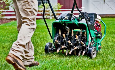 Aerating And Overseeding Services Promow Lawn Care