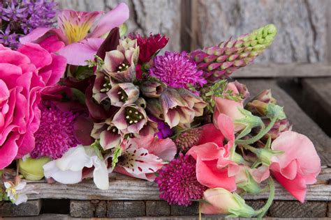 You that so flung your crimson to the sun only yesterday. Somerset Flower Farm • dream photography job • Capture by Lucy