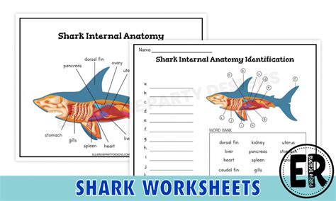 Free Printable Shark Worksheets Ellierosepartydesigns Com
