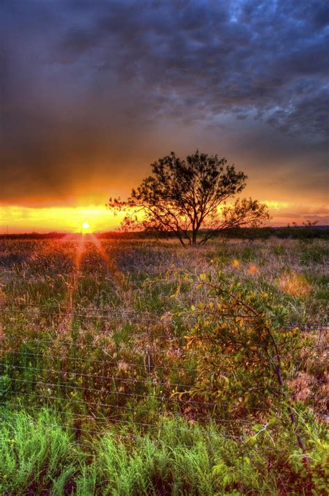 Texas Summer Sunrise Sunrise Landscape Pictures Beautiful Photos Of