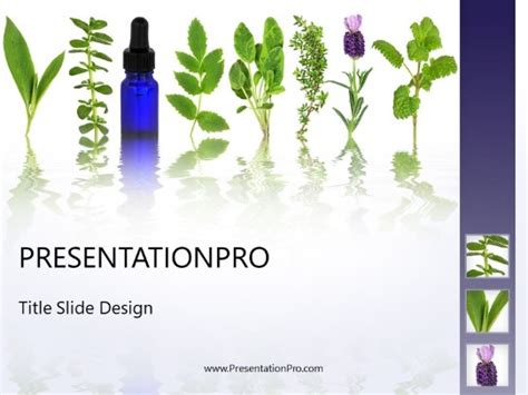 Herbal Medicine Therapy Medical Powerpoint Template Presentationpro