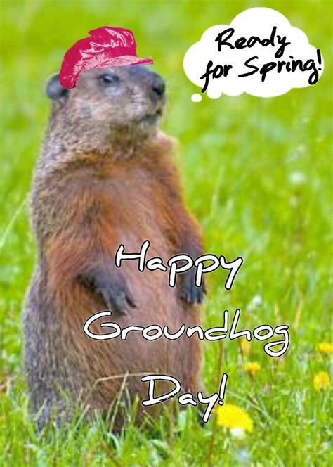 Happy Groundhog Day Happy Groundhog Day Groundhog Day Holiday