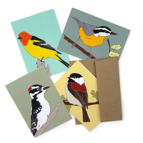 Box Of Woodland Bird Note Cards 2 Each Of 4 Designs Etsy