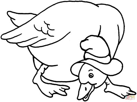 We have now placed twitpic in an archived state. Duck With Hat coloring page | Free Printable Coloring Pages