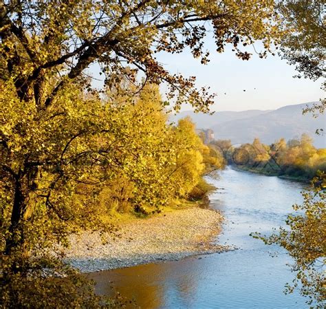 Beautiful Autumn Mountain River At Stock Photo
