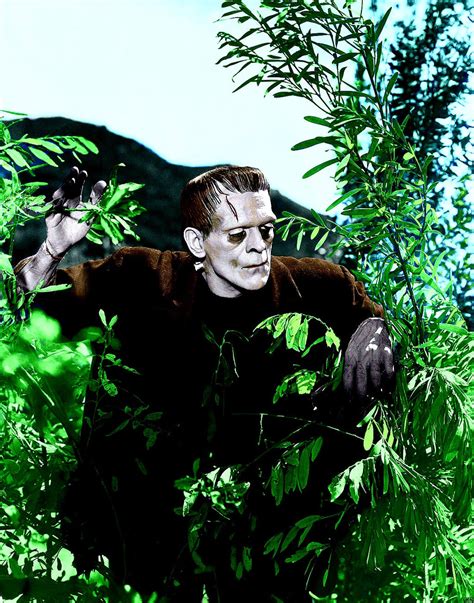 Colorized Frankenstein 1931 Lake Scene By Dr Realart Md On Deviantart