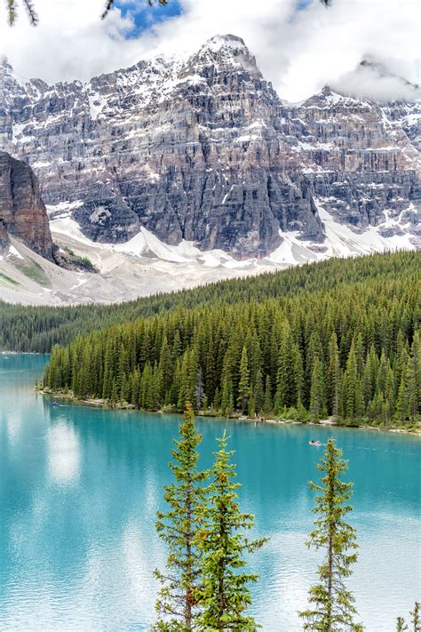 Visiter Le Parc National De Banff Les Incontournables Wild Birds