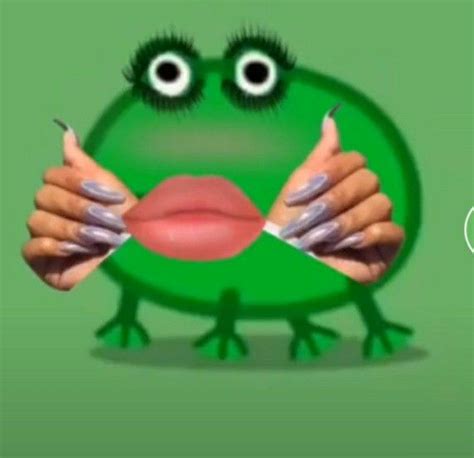 Frog Pfp Frog Meme Amazing Frog Stupid Memes