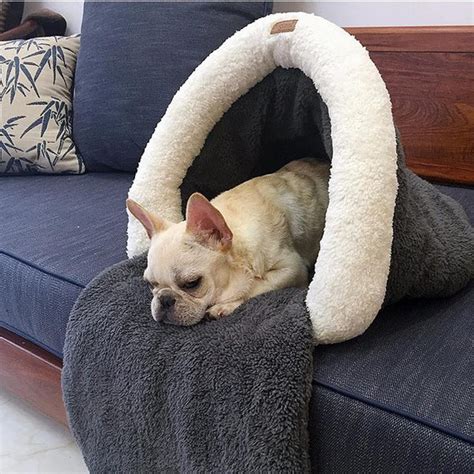 59 French Bulldog Beds Picture Bleumoonproductions