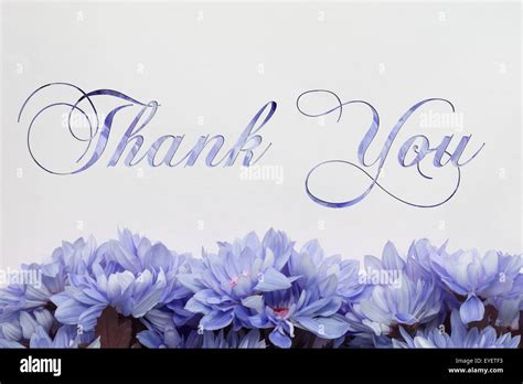 Thank You Flowers And Beautiful Handwriting Greeting Card Stock Photo