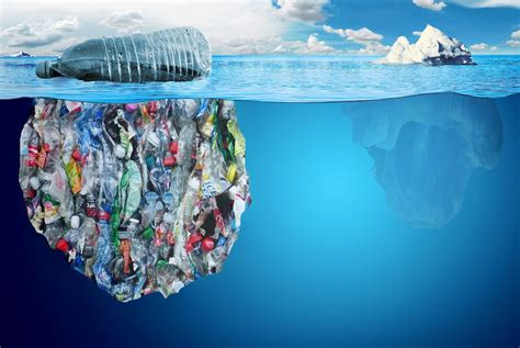 How Plastic Pollution Harms Marine Life Safety4sea