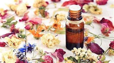 Learn How To Make Essential Oils At Home With This Easy Essential Oil