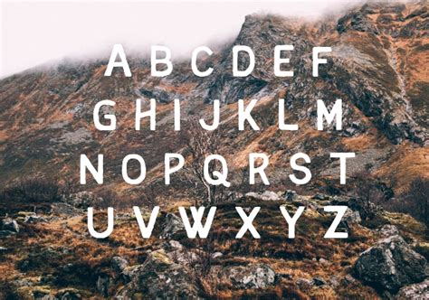 18 Rustic Fonts Ttf Otf Format Download Design Trends Premium