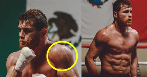The phrase foaming at the mouth is an idiom people use to describe someone who is very angry; Leaked Photos Of A Jacked! Canelo Alvarez Has VADA Foaming ...