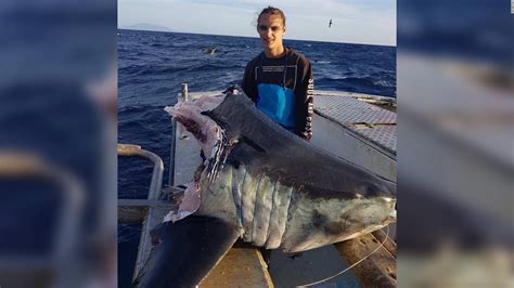 Fisherman Catches Giant Shark Just As Something Even Bigger Takes A
