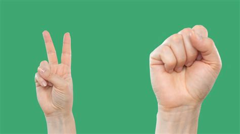 Set Of 12 Protest Gestures Hands Showing On Stock Footage Sbv 338587775