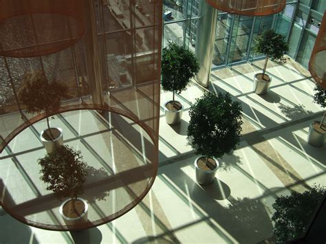 Willerby Landscapes Movable Planters Installed In A City Office