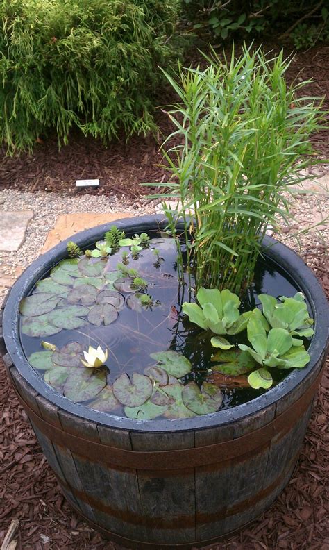 I Saw This At The Fair Make Your Own Water Feature Aquatic Plants