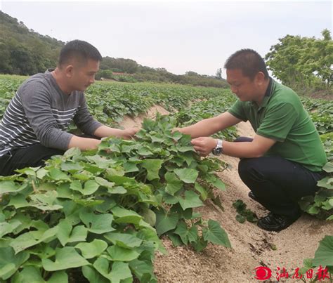 【抓好“三六九”奋战“百千万”】城区 ∶ 激活乡土人才“引擎” 助力乡村振兴“提速”城区汕尾日报社官方网站