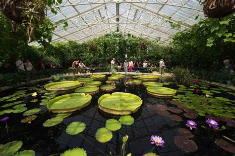 Crazy busy with a queue. 12 things to do in Kew Gardens when it rains - Diary of a ...