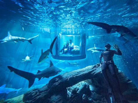Airbnb Wants You To Sleep With Sharks Condé Nast Traveler