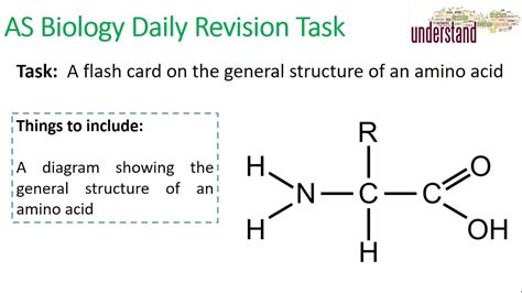 AS Biology Daily Revision Task 19 Amino Acid Structure YouTube