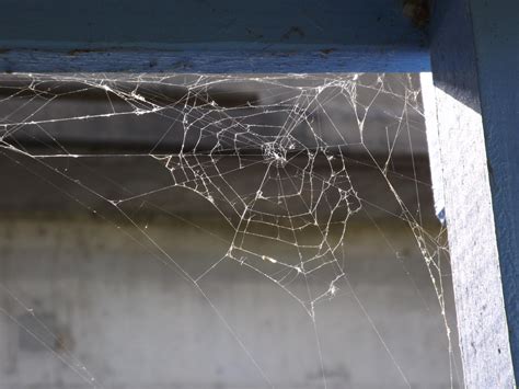 Spider Web Corner