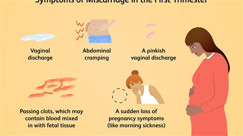 Miscarriage Symptoms 4 Weeks Angga Tani