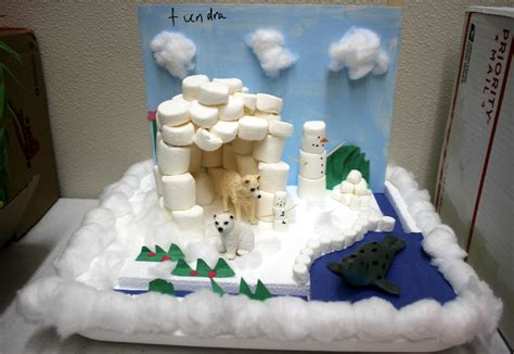 This Fourth Grade Biome Project Represents The Arctic Tundra This