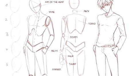 How To Draw Anime Bodies Male For Beginners Here Is The Most Basic Easy And Commonly Used