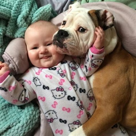 30 imagenes de bebés con perros que muestran verdadera amistadLa nube