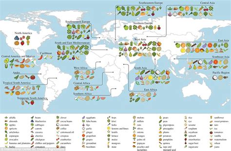 A global cuisine is a cuisine that is practiced around the world. Interactive map shows where the world's food comes from ...