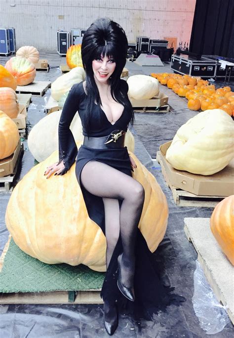 Elvira Macabre “darlings Its Halloween In Less Than A Week Prepare