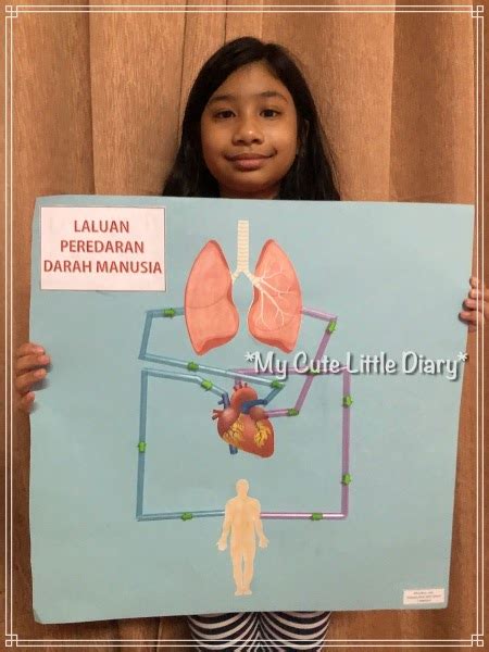 My Cute Babe Diary Projek Sains Melakar Laluan Peredaran Darah Tahun