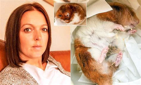 Mother Posts Warning Online After Dead Hamster Awakes