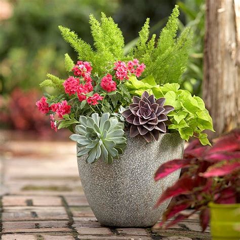These days there is a huge variety of terracotta pots on the market, but jason shows us how to bring a little flair to the backyard with some quick and. 40 Creative Garden Container Ideas and Plant Pots