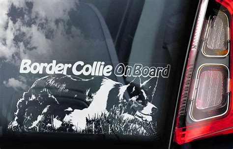 Border Collie On Board Car Window Sticker Dog Sign Etsy Border