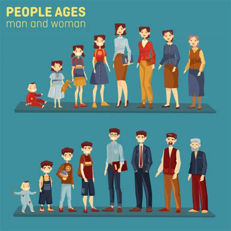 Age Progression Illustrations Royalty Free Vector Graphics And Clip Art