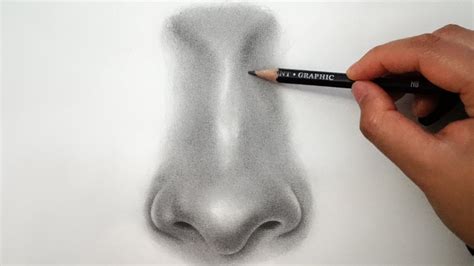 You may not realize it, but your nose is a combination of various shapes that join step 1. How to Draw a Nose - EASY - YouTube