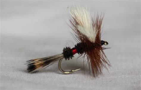 Trout Fly Fishing Flies Fly Fishing Basics Enjoy The Water