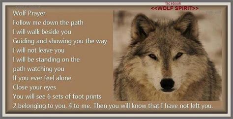 Wolf Prayer Wolf Spirit Feeling Alone Wolf Cry