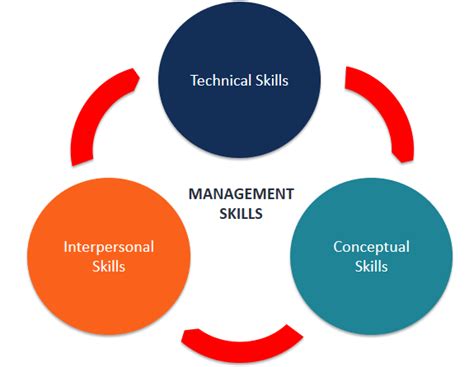 What is conceptual skill of a manager ? Senior Management Skills and Competence Development ...