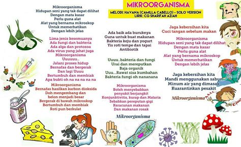 Rajah 1 menunjukkan empat jenis hidupan, p, q, r dan s. Lagu Parodi Sains Tahun 6 Unit 3: Mikroorganisma - Chang ...