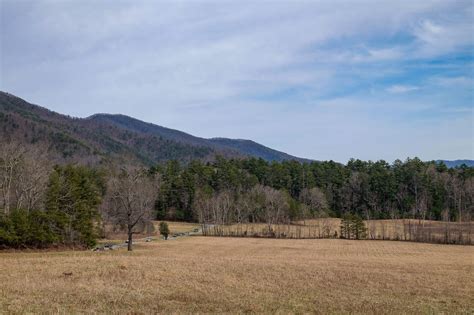Driving The Cades Cove Loop Road What You Need To Know