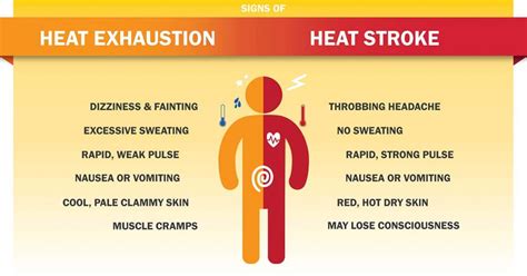 How To Tell If I Have Heat Stroke Best Design Idea